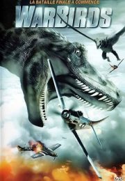 Warbirds - Păsări ucigașe (2008) Online Subtitrat HD Warbirds - Păsări ucigașe (2008) Online Subtitrat HD