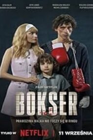 Boxer 2024 online hd gratis subtitrat in romana