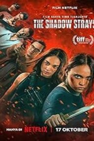 The Shadow Strays 2024 film subtitrat online hd